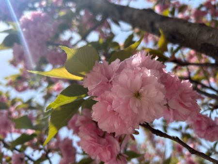 微信圖片_20250411110557