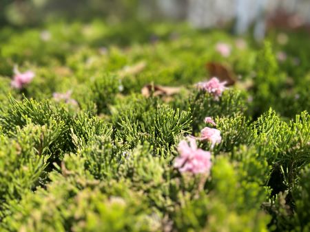 微信圖片_20250411110610 微信圖片_20250411110610