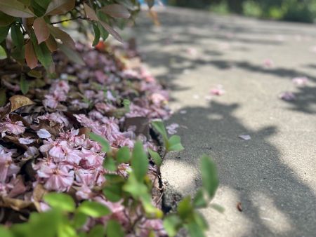 微信圖片_20250616162020 微信圖片_20250616162020