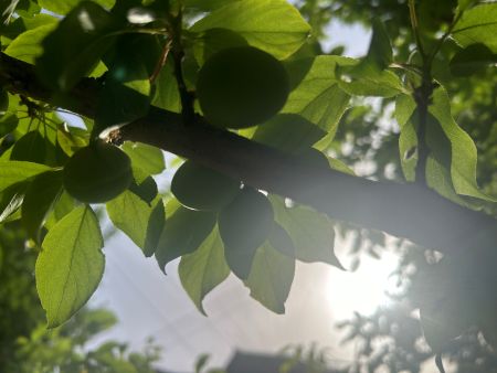 微信圖片_20250616162014 微信圖片_20250616162014