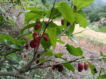 微信圖片_20250616161729