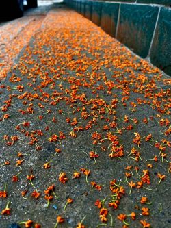 微信圖片_20251020161147