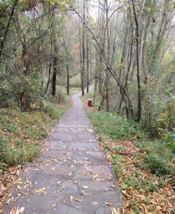 微信圖片_20260112095316